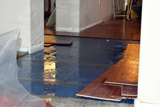Professional Basement Flooding technician working in Odessa, MO